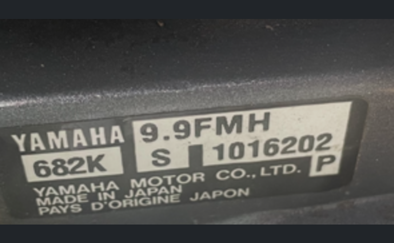 Suvi 4180-kuva-2